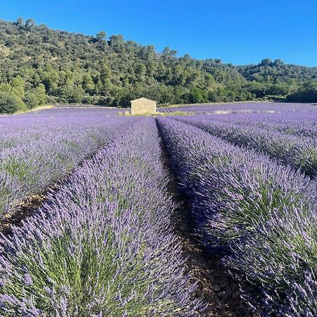 Appartement Coeur De Provence à Gréoux-les-Bains Extérieur photo